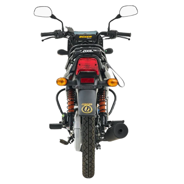 Boxer CT100 KS Boxer Racing (1)