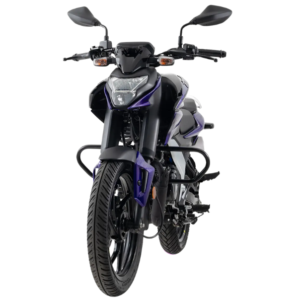 Pulsar N125 Carburada (2)
