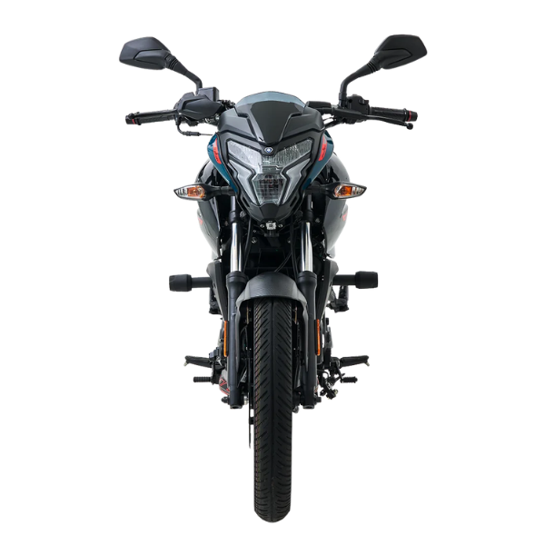 Pulsar NS 125 (2)