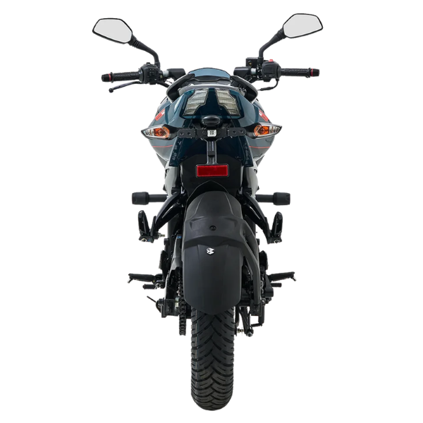 Pulsar NS 125 (3)